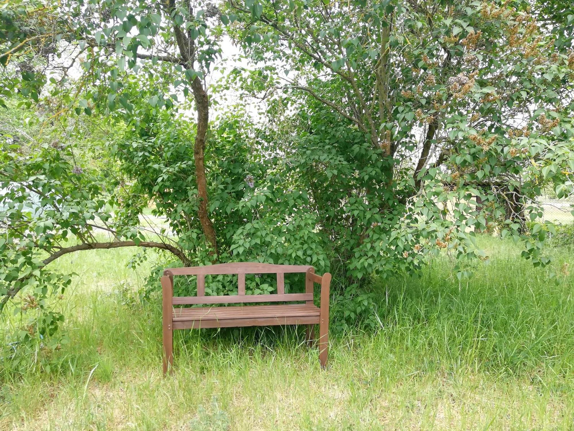 Ehemalige Bibliothek Apartment Fuer 2 Mit Kueche Kamin Netflix Parken Und Hofladen Steinhofel Exteriér fotografie